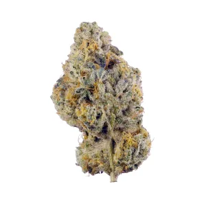Wedding Cake Strain for Sale Indiana