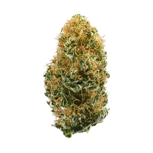 White Widow Strain for Sale Indiana