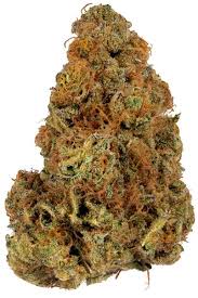 dispensary near me Indiana